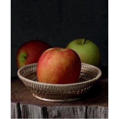 Саженец яблони "Рубинетте Россо" Саженец яблони "Рубинетте Россо"